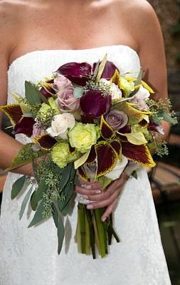 Flower Companies on Flowers Plus Is This Week   S Photo Contest Winner    Fall Wedding