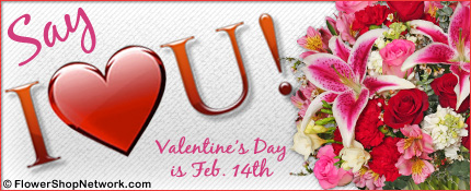 Valentines Day 2011 v1