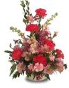 TickleMePinkCarnations.jpb