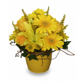 Yellow Aglow - Garden Party Centerpiece