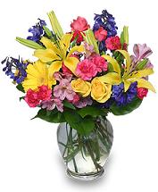 Rainbow of Blooms Arrangement