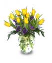 Tulips Spring Flowers Arrangement