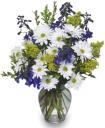 Daisy And Delphinium Photo.jpg