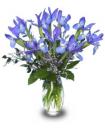 Iris Flowers Arrangement