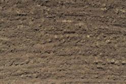 Picture of Soil