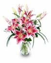 Stargazer-lilies.jpg