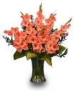 Orange-gladiolus.jpg
