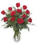 A Dozen Roses--The Classic Anniversary Gift!