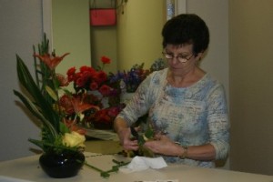 Regina Cutting Equisetum Regina Cuts Equisetum Stalks Just Below The Knot