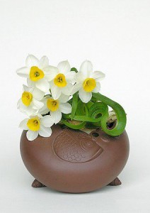 Carved Bulb Narcissus