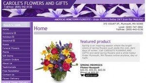 eCommerce Website