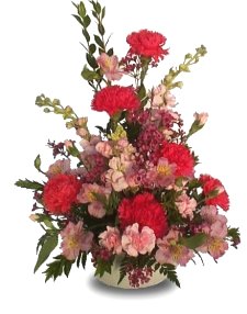 Tickle Me Pink Carnations Arrangement.jpg