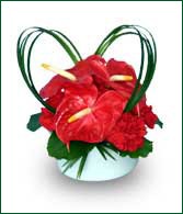 Velentine Arrangement with Anthurium