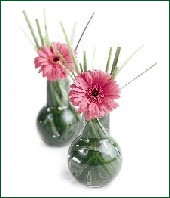 Gerbera Vases for Hors D'oeuvre Table Picture by Stephen Smith Florists'Review