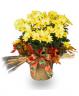 Basket Chrysanthemem