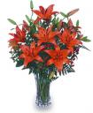 Orange Lilies For Anniversary