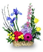 Photo of a mixed basket arrangement with bright spring colors