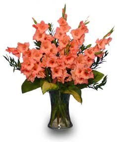 Orange Gladiolus - August Birthday Flowers