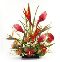 Learn About The Wow Factor Of Tropical Flowers