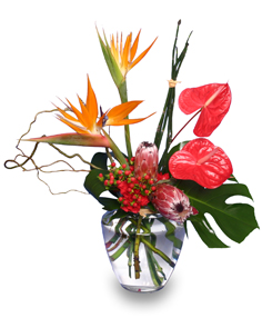 Tropical Flower Centerpiece