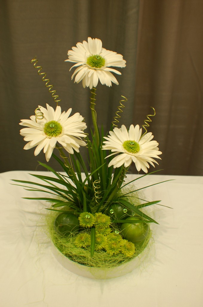 Photos from the 2010 Texas State Florist Association Convention