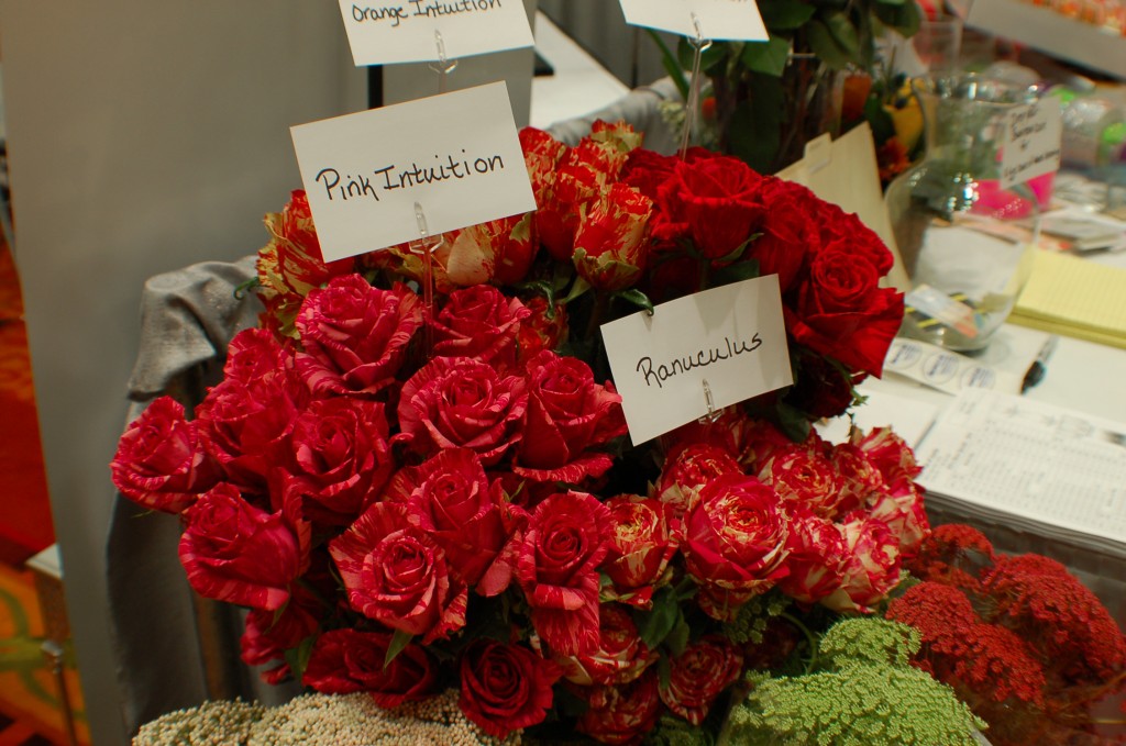 Photos from the 2010 Texas State Florist Association Convention