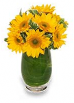 Send Get Well Flowers From A Local Florist