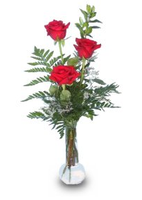 Valentines Day Rose Bud Vase With Ferns