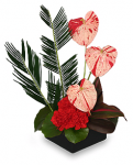 Heart-Shaped Anthurium Makes A Great Valentine's Day Flower