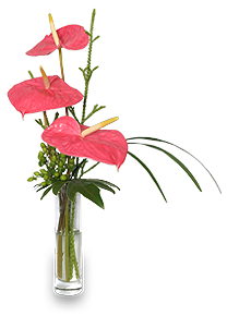 Anthurium Arrangement