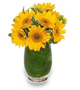 Cheery Get Well Flowers