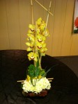 Orchid Arrangement At The Florida State Florists' Convention 2011