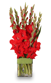 Gladiolus Flower Arrangement - For August Birthdays