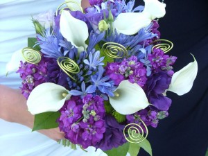 Springfield Illinois Featured Florist