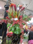 Northeast Floral Expo 2011 pictures