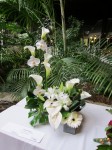 Northeast Floral Expo 2011 picture