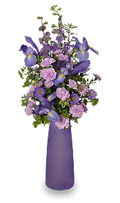 Lyrical Lavender - Featuring Larkspur