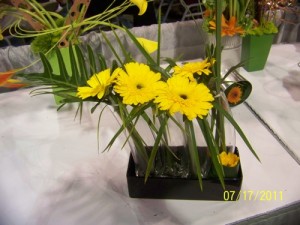 Yellow Flower - Daisy Design
