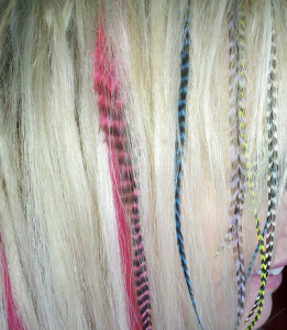 Hair Feathers