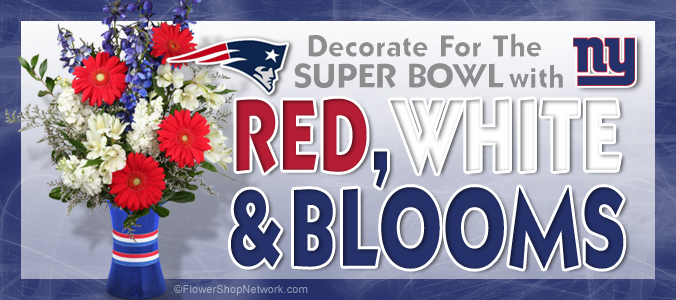 Decorating Ideas For Super Bowl 2012