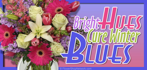 Beat The Winter Blues With Colorful Flowers!