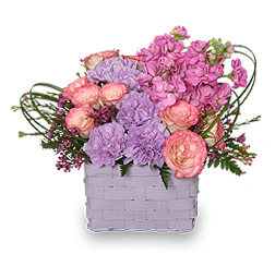 Purple Spring Flowers