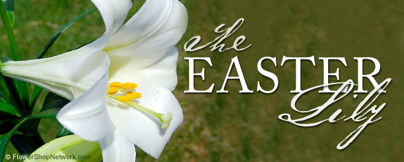 The Easter Lily,Thai Sweet Chili Sauce Food Lion