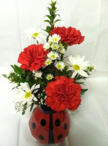 Swannanoa Lady Bug Mother's Day Flowers