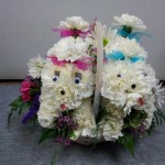 Floral Puppies by Buds & Blossoms, Edgewood MD
