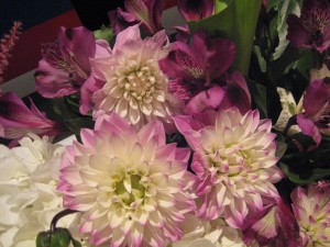 Dahlias in the Flower Shop Network Booth at the Tennessee State Florist Convention Trade Show