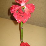 Feaux butterfly amaryllis design at the North Carolina State Florist Convention