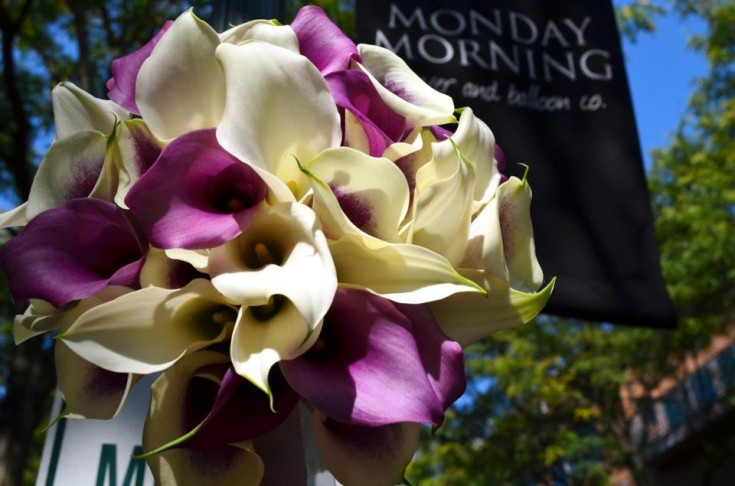 Calla lily bouquet by Monday Morning Flowers, Princeton NJ