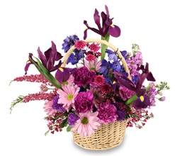 Basket Garden Flowers