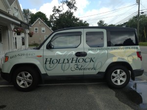 HollyHock2